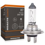Hoalte Basic H7 24V 70W