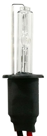 Komplet żarników xenon H3 6000K 
