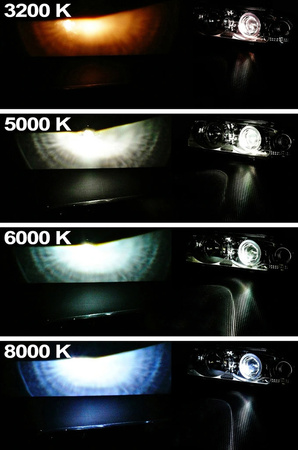 Żarnik ksenonowy Hoalte Xenon D2S Basic 5000K 85V